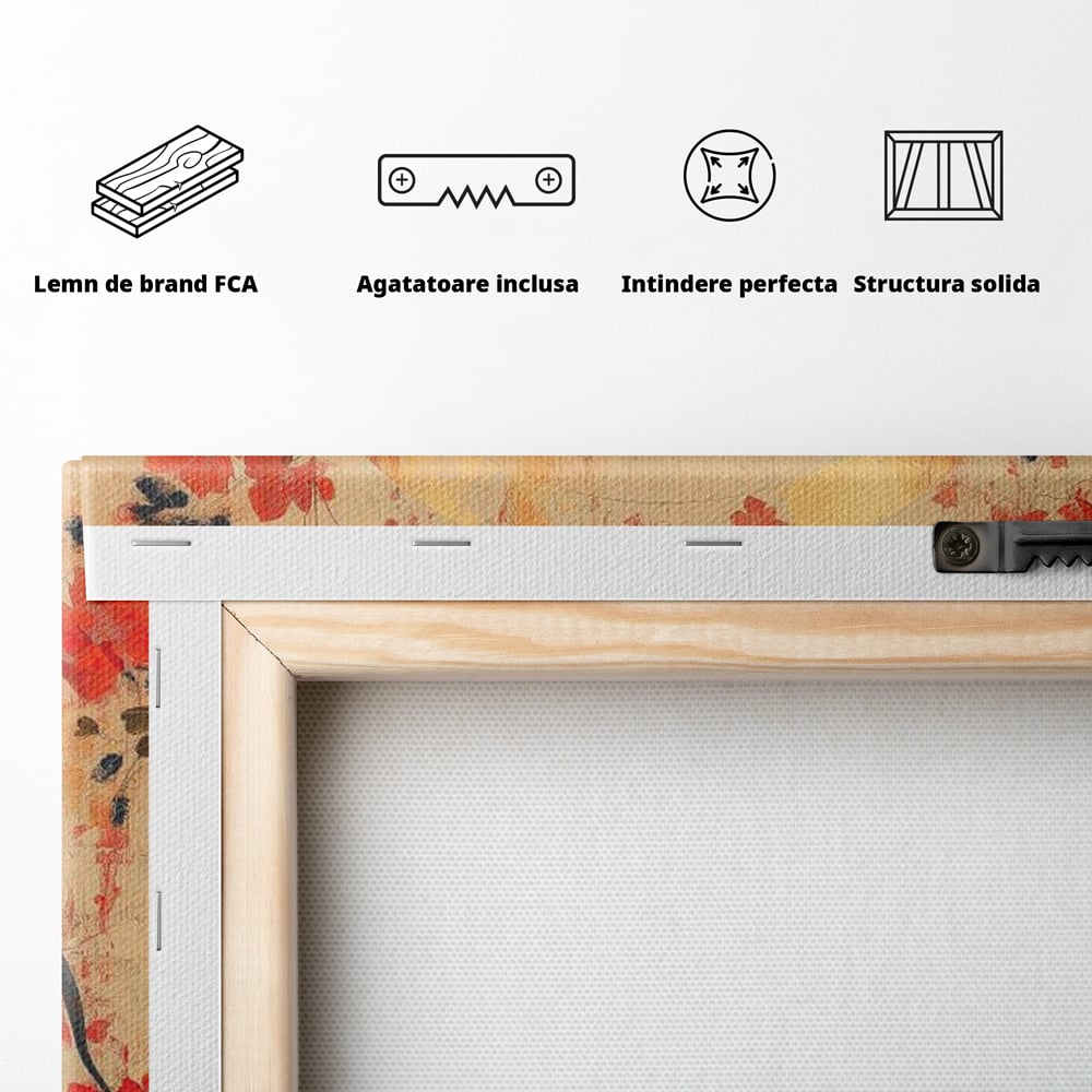 Spatele produsului, cu sasiu din lemn, capse metalice si agatatoare